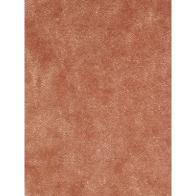 Pastiche Crush Plain Coral