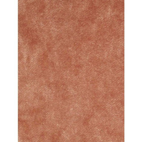Pastiche Crush Plain Coral